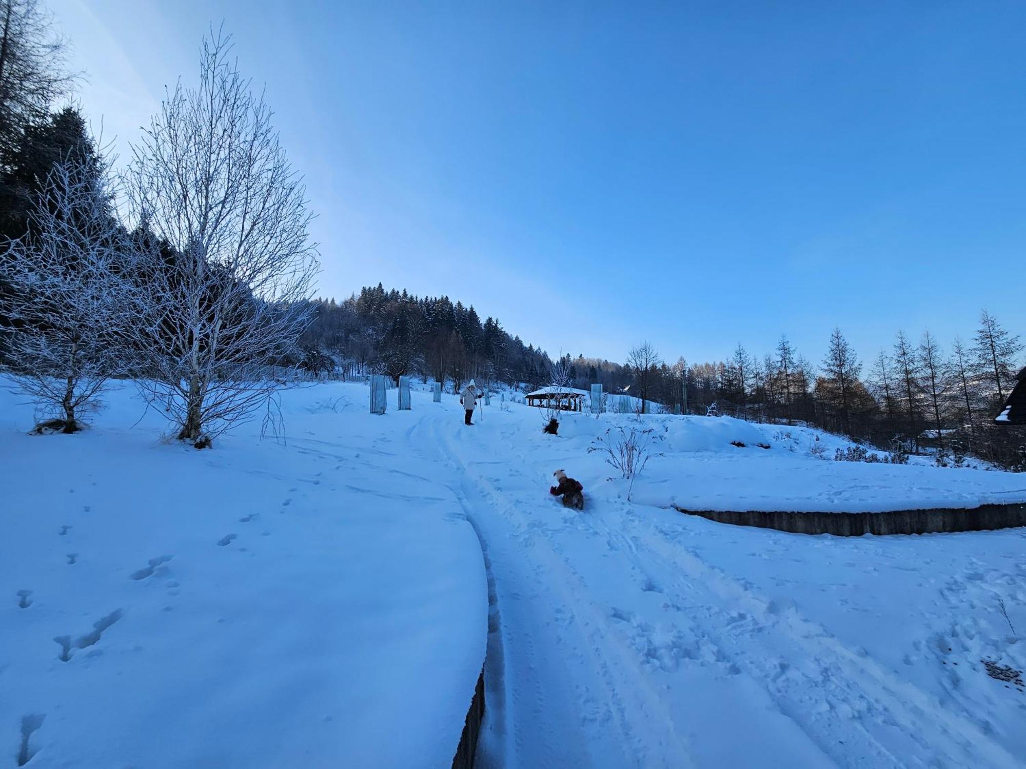 مبيت وإفطار شتافنيتسه Otulina Park المظهر الخارجي الصورة