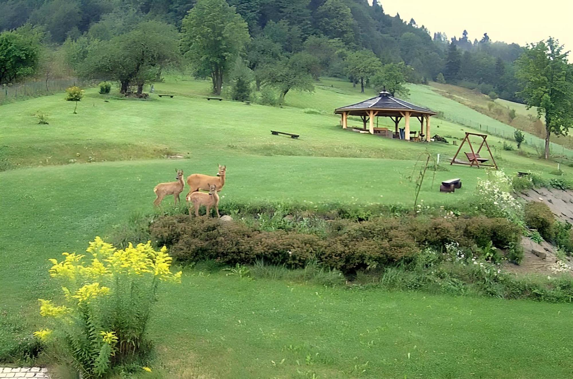 مبيت وإفطار شتافنيتسه Otulina Park المظهر الخارجي الصورة