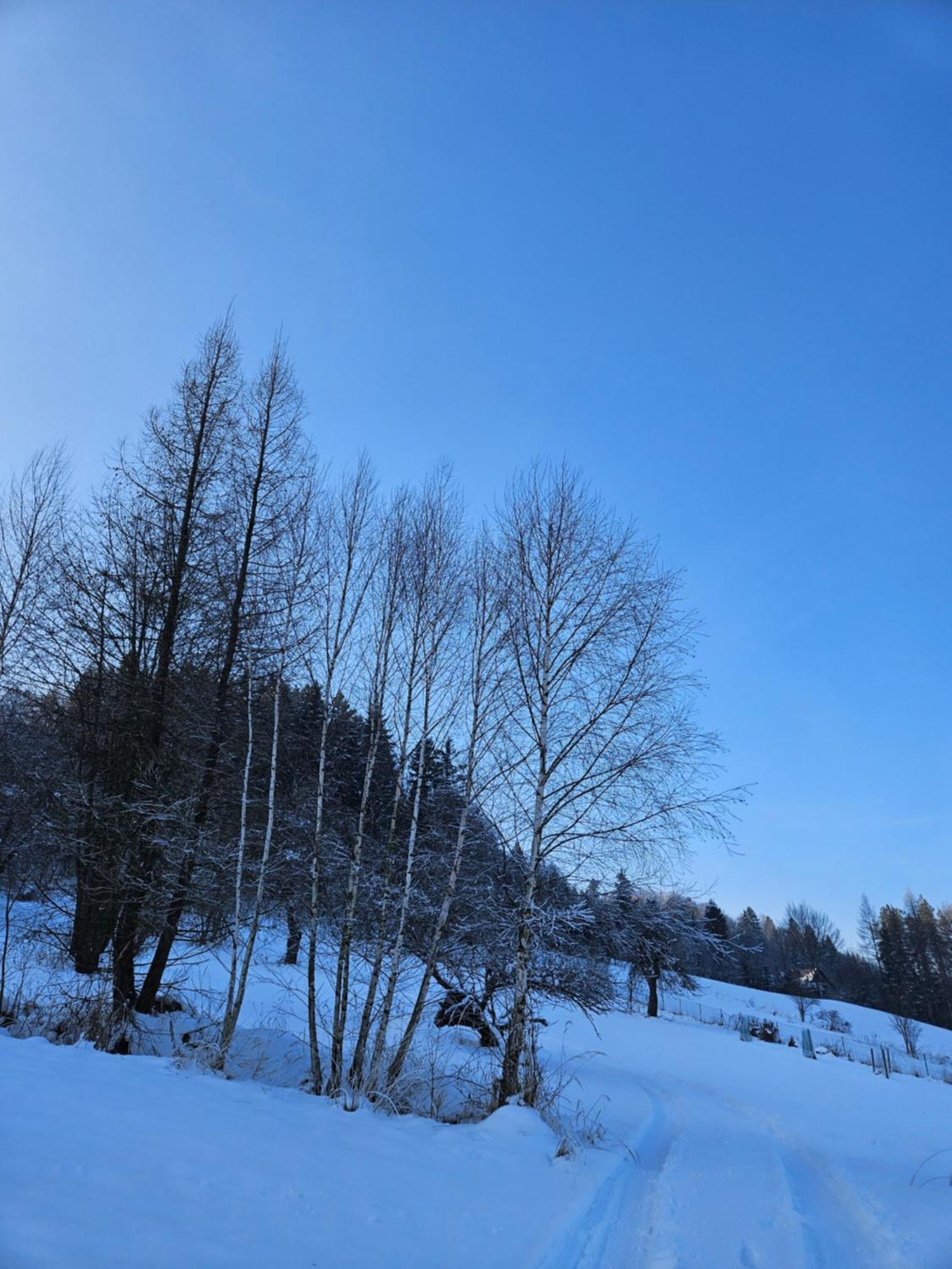 مبيت وإفطار شتافنيتسه Otulina Park المظهر الخارجي الصورة